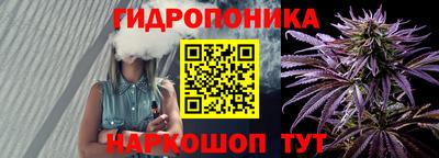 дурь Камышлов