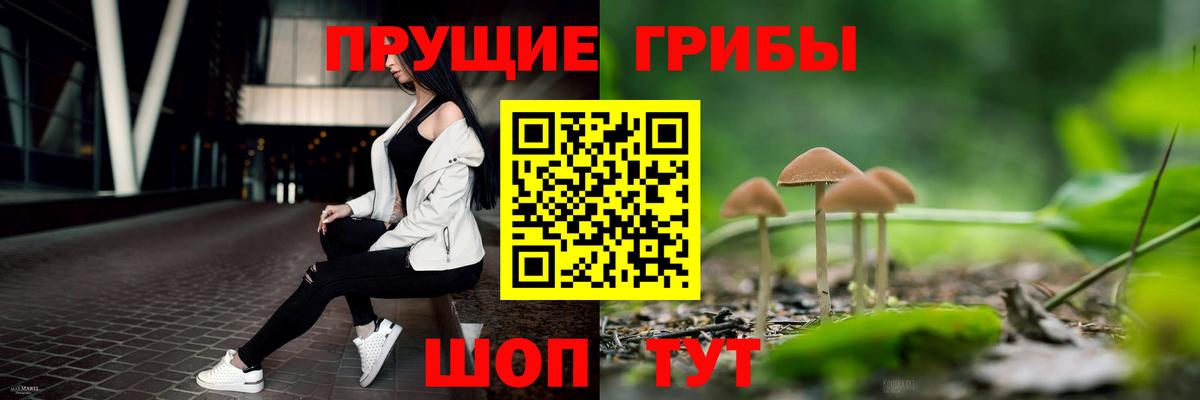 Химки  купить   Вход с VPN  Псилоцибиновые грибы ЛСД 